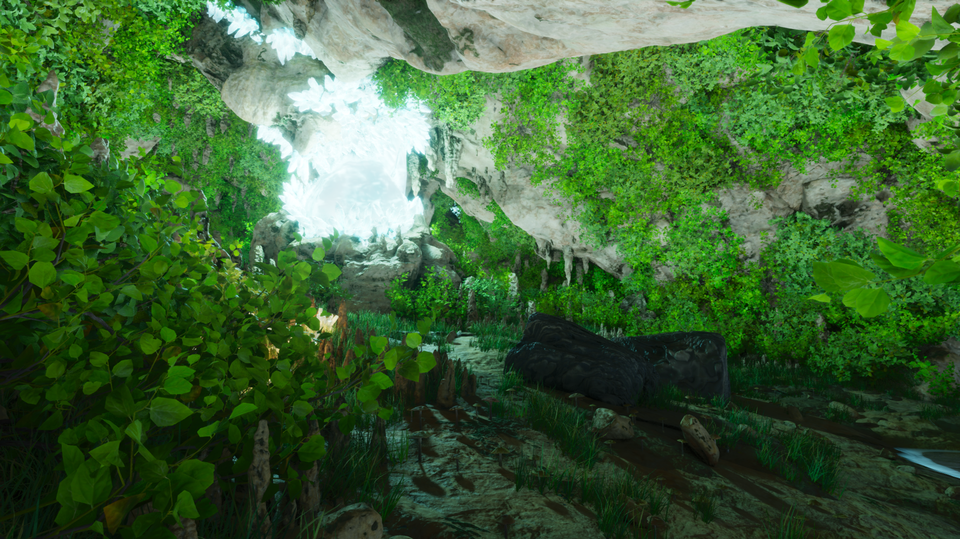 Pearl Cave - Large - 0.9 96.7