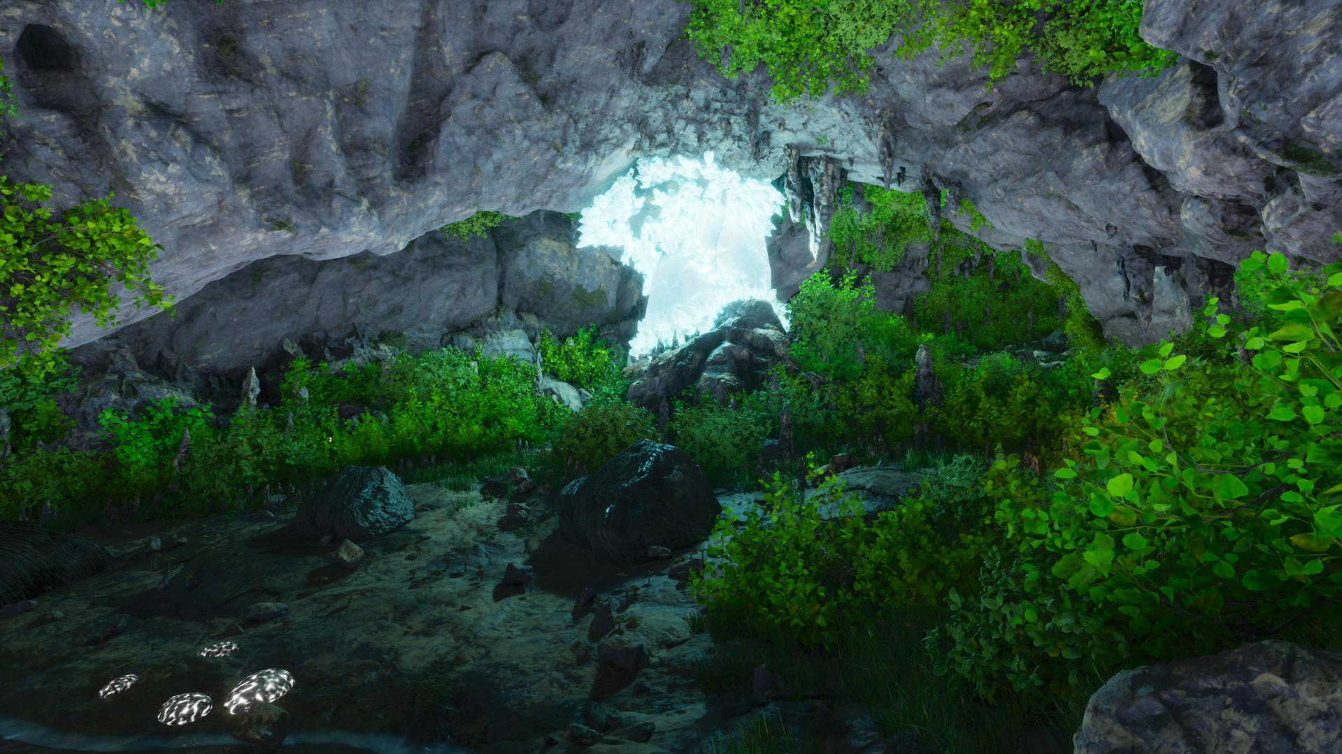 Pearl Cave - Large - 93.2 96.9