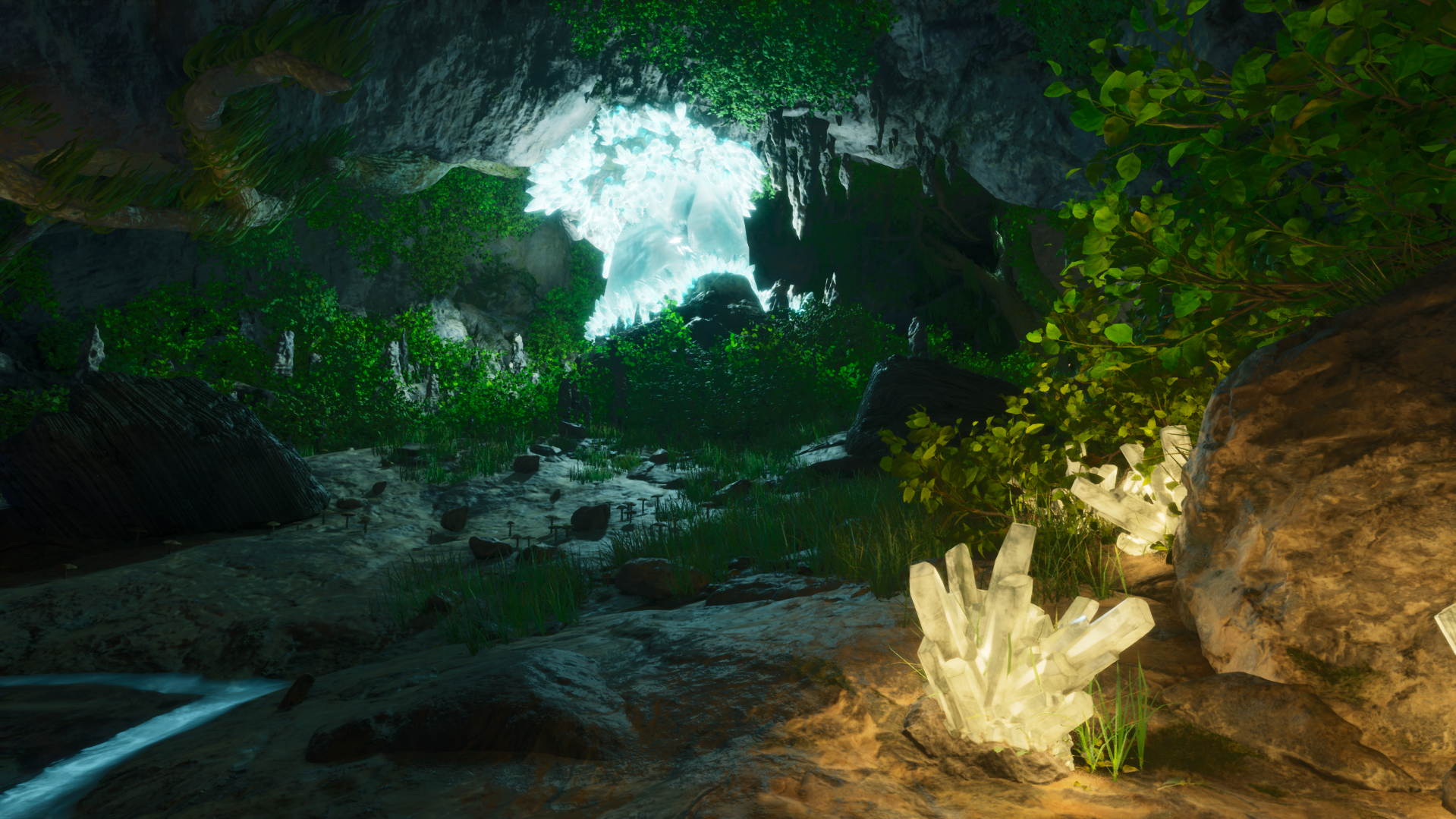 Pearl Cave - Large - 96.6 34.6